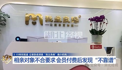 婚介迷局 我主良緣被曝宣傳與服務(wù)質(zhì)量割裂，紅娘配合高收費背后成功率疑為虛構(gòu)